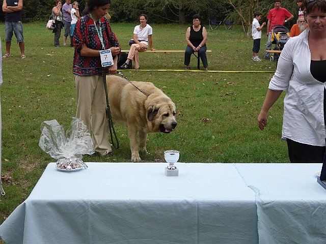 img 039.jpg